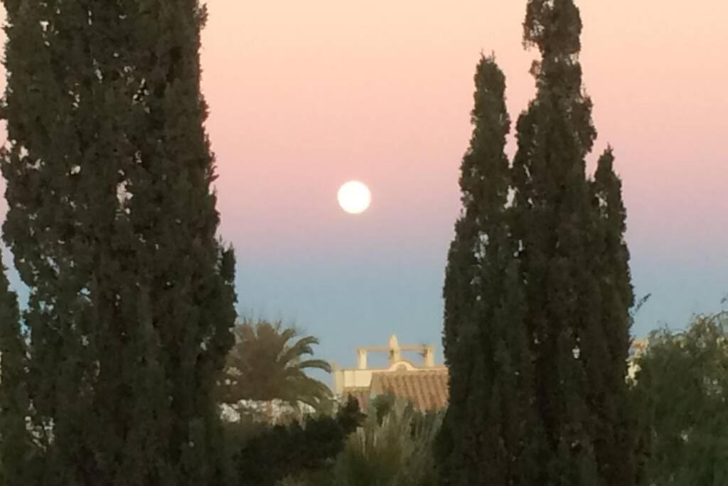 Privates Ferienhaus Villa de Paz - Costa Blanca Orihuela Exterior foto
